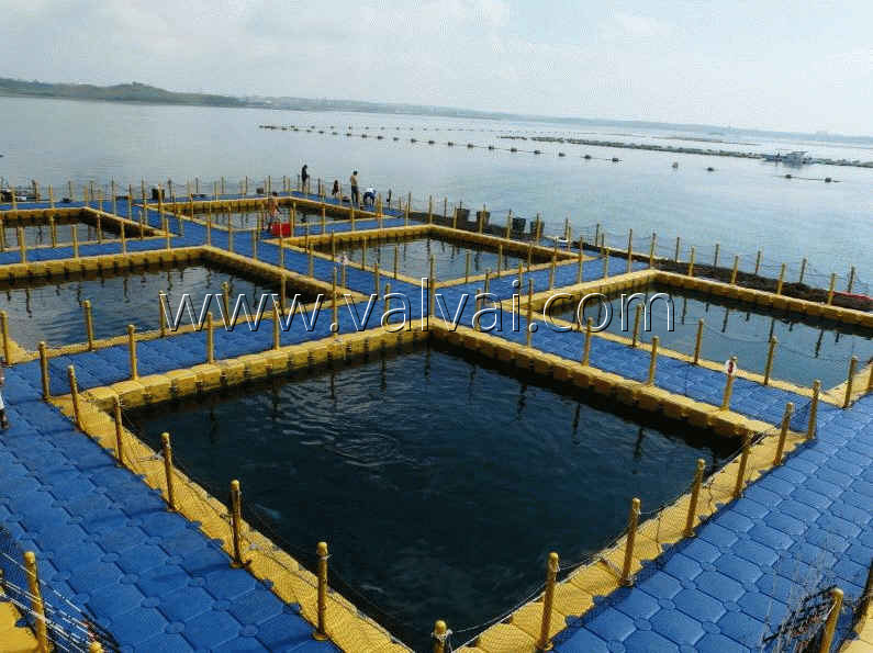 fish farm